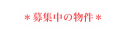 ＊募集中の物件＊